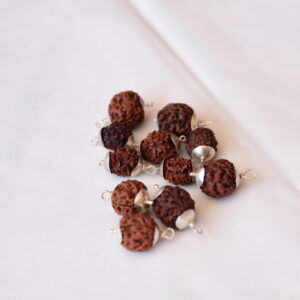 3 Mukhi Rudraksha